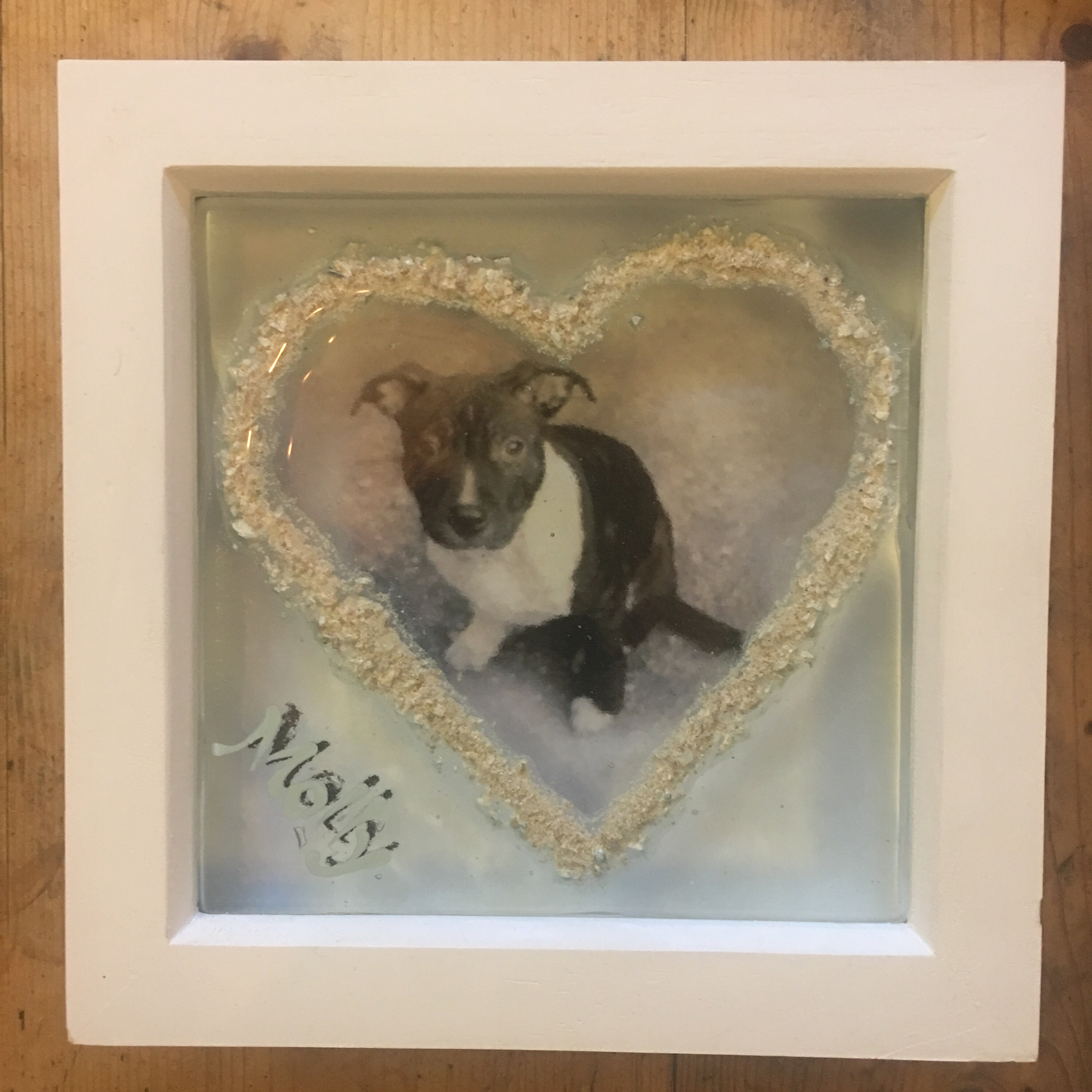Pet Memorial Shelf - x552efj