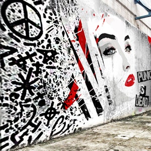 Graffiti / Wallpaper / Pasted wallpaper / Wall mural / Mural / Feature wall / Art / Design / Prints / Contemporary / Wall art / Cool / Gift