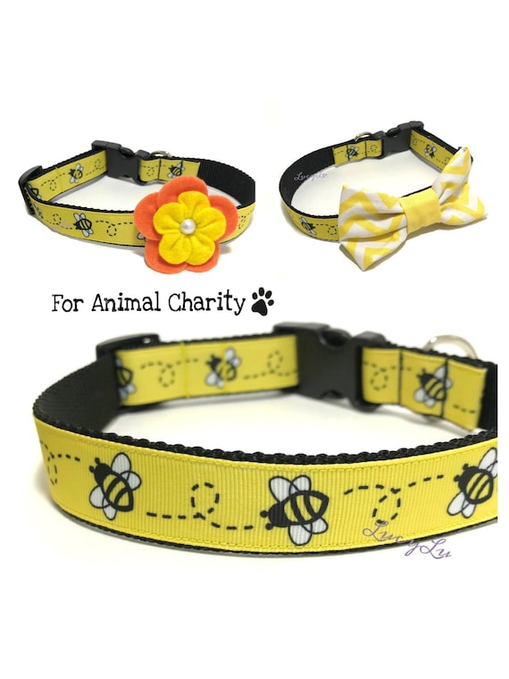 Bee dog collar Clearance