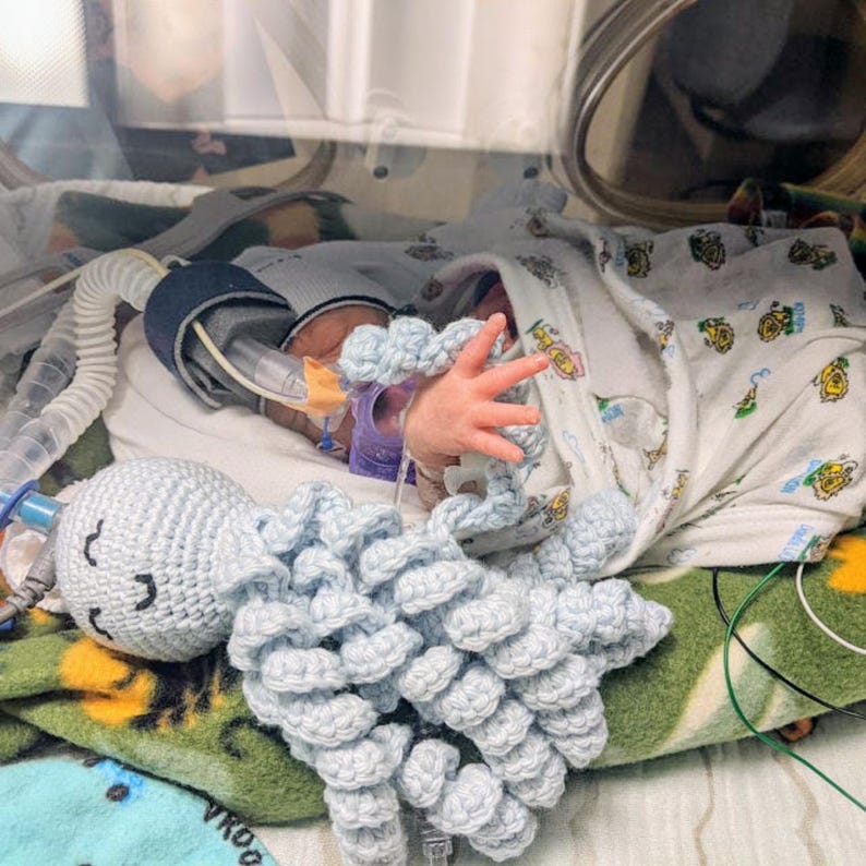 Puede incluir: Un beb&eacute; prematuro en una incubadora, envuelto en una manta estampada. Un pulpo y una nube de ganchillo est&aacute;n en primer plano. El beb&eacute; tiene tubos y monitores m&eacute;dicos.