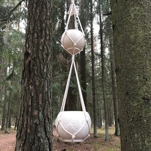 May include: Two white ceramic hanging planters with a macrame design, suspended from a tree branch in a forest setting.