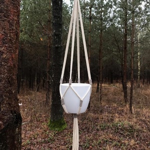 Puede incluir: Una maceta colgante blanca suspendida de un árbol. La maceta está sujeta por un colgador de macramé con un anillo de madera en la parte superior. El fondo presenta un bosque con hojas marrones en el suelo.