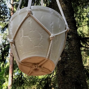 May include: A white ceramic planter hanging from a macrame rope, suspended from a tree branch in a woodland setting.