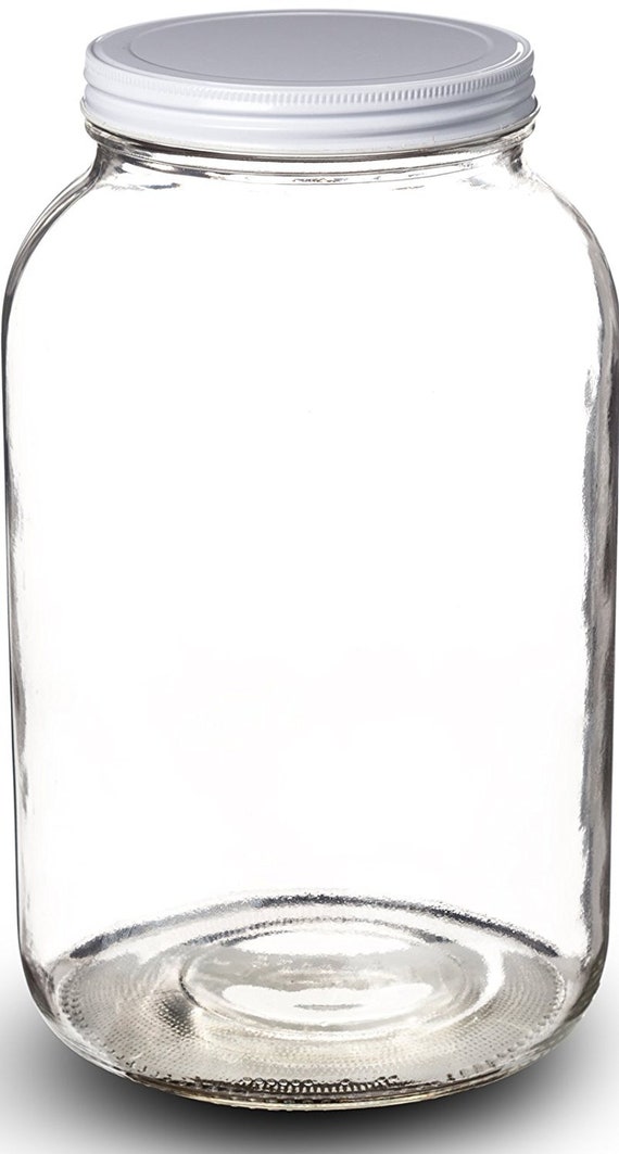 Masthome 1 Gallon Glass Storage Jar, Wide Mouth, Clear Glass Cookie Jars  with Airtight Lids, Dishwasher Safe, Kitchen Food Storage Container for