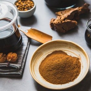 Wild Harvest Canadian Chaga Mushroom (Inonotus obliquus) Powder - (454g) by Tao Chaga
