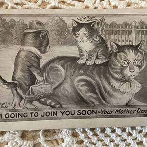 May include: A black and white vintage postcard featuring a cartoon illustration of three cats. The caption reads "I'm going to join you soon - Your mother don't object".
