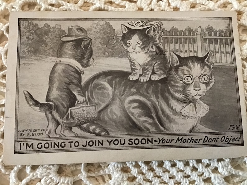 May include: A black and white vintage postcard featuring a cartoon illustration of three cats. The caption reads "I'm going to join you soon - Your mother don't object".