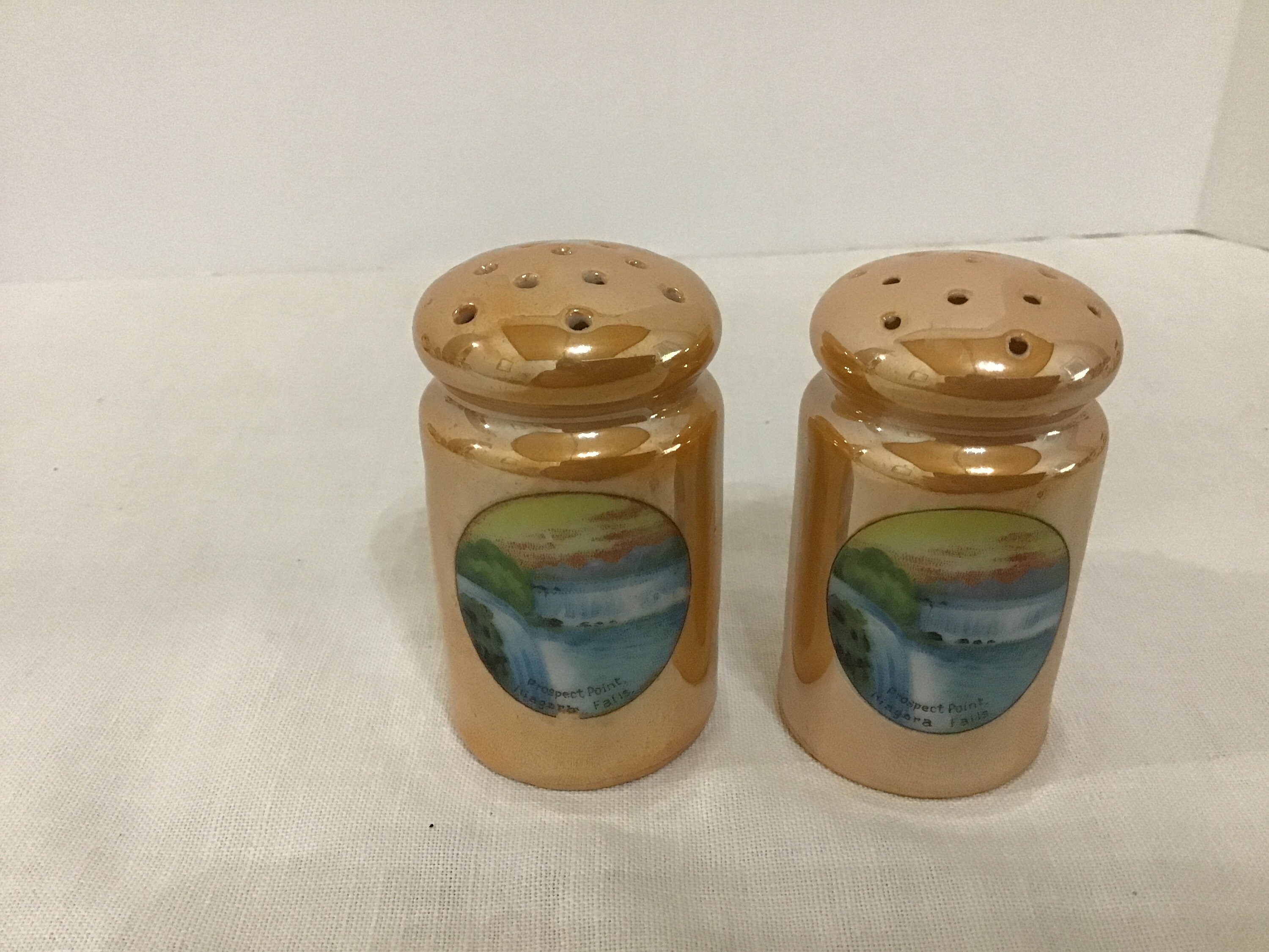 Vintage Prospect Point Niagara Falls Luster Salt and Pepper Shakers Souvenir