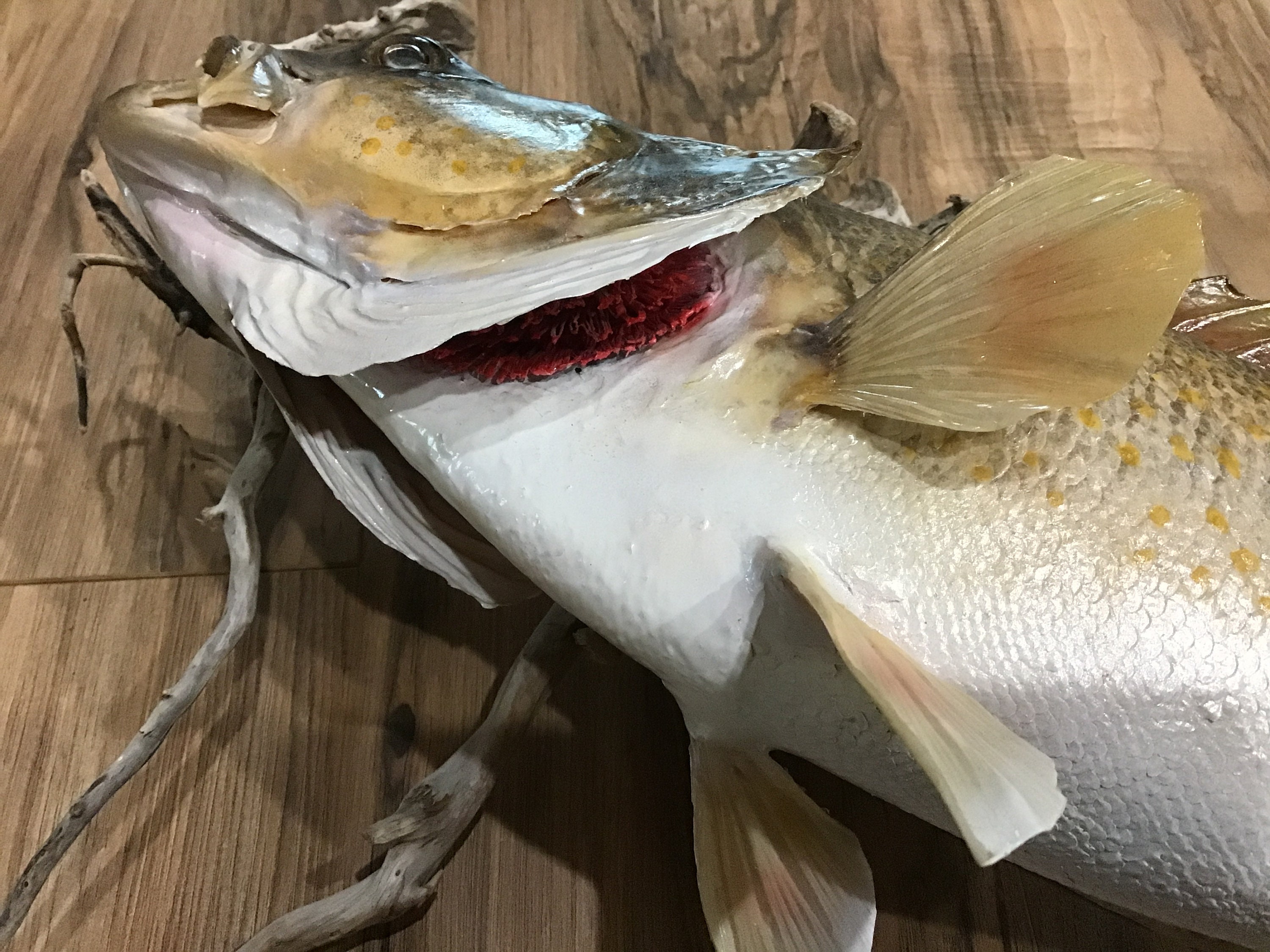 Large Walleye Real Skin Fish Mount, Fish Taxidermy Mount, Lodge