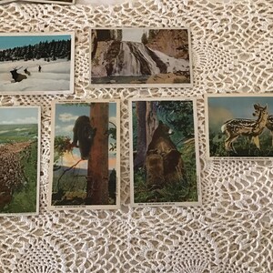 Vintage Yellowstone-postkaarten, Yellowstone-souvenirs, verzamelobjecten, reispostkaarten
