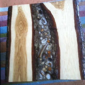 Könnte beinhalten: Eine Tischplatte aus Holz mit einer natürlichen Kante und einem Abschnitt des Holzes, der mit einem klaren Harz gefüllt ist, das kleine Steine und Muscheln enthält.
