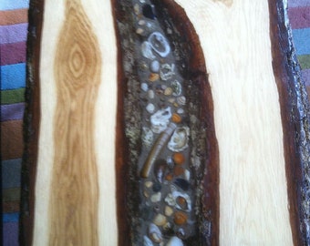 Mesa de resina epoxi, roble con borde natural, conchas marinas y de ostras, mesa de centro, mesa de río, mesa auxiliar