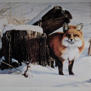 Ron VanGilder Out Fox&#39;in limited edition wildlife art print lithograph