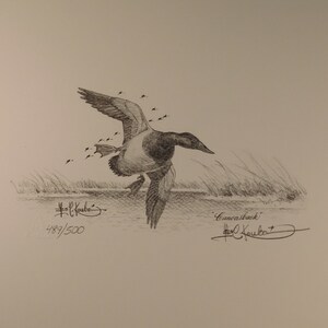May include: A black and white pencil drawing of a canvasback duck in flight. The duck is flying over a body of water with reeds in the background. The drawing is signed by the artist, "R.L. Koubeck", and numbered "489/500".