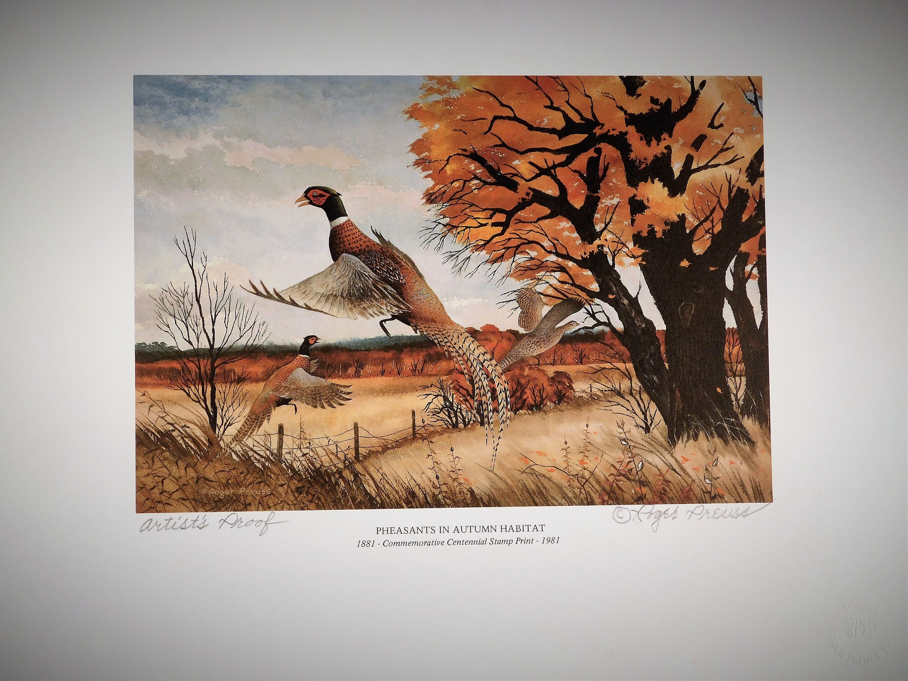 Pheasants in Autumn Habitat Stamp Print Signed by Artist Roger Preuss