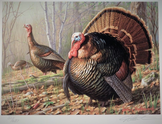 First Ever Minnesota Turkey Stamp Print With Stamp 1997 Jim