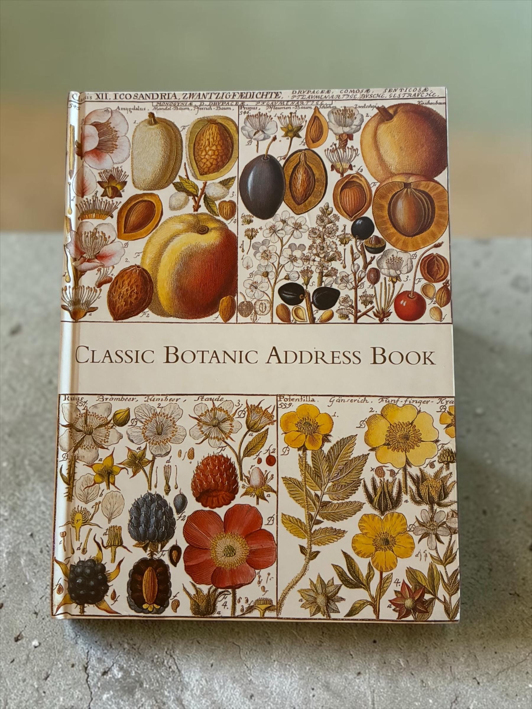 Vintage Unused Address Book - Etsy