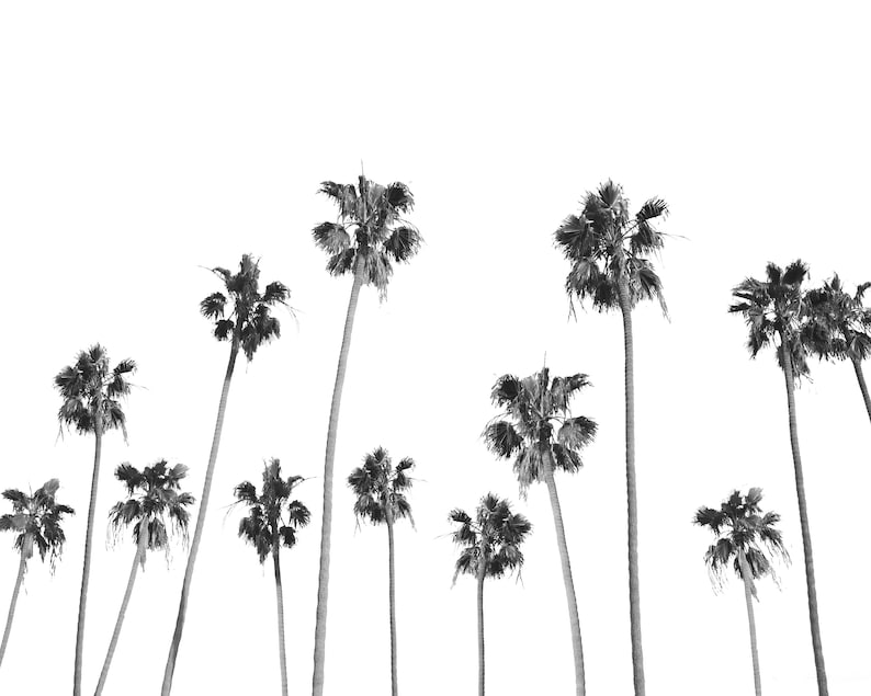 Black and White Palm Tree Digital Print Tropical Sea Beach Etsy