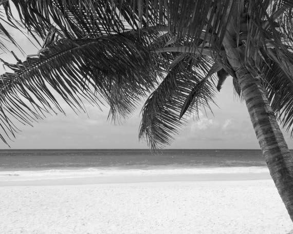 Noir Blanc Palmier Arbre Mer Impression Numérique Plage Océan Tropical Feuille Feuilles Télécharger Art Mural Imprimable Vivant Chambre à Coucher