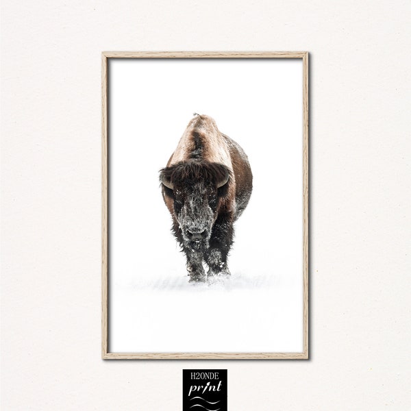 Bison Buffalo bull digital print winter holiday snowy animal Southwest decor instant download wall art printable poster wild american