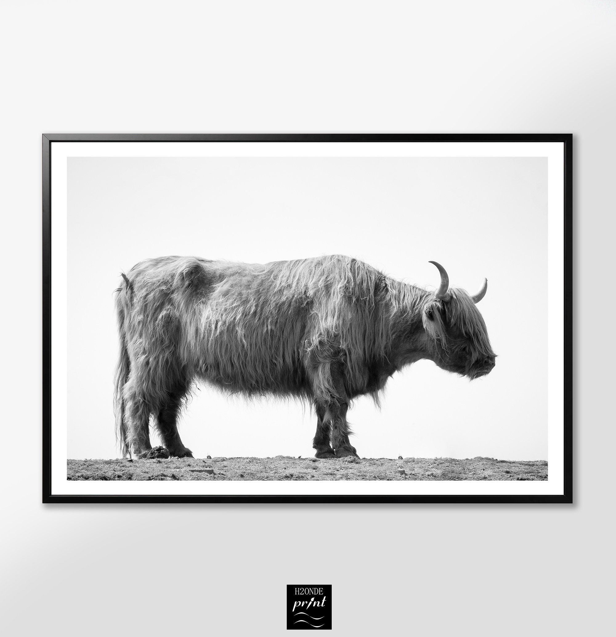 Wall Hangings Digital Art Print B&W Highland Bull Instant Download Cute