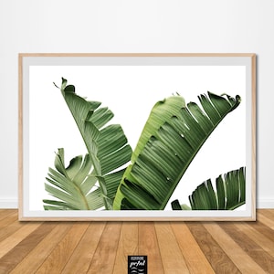 Foglia banano tropicale stampa verde natura digitale download arredo muro parete arte quadro sala ufficio studio bagno cucina foto poster