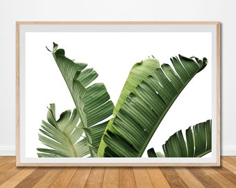 Banana leaf tropical digital print poster art download wall leaves nature printable living office dining leaves palm picture botanical decor