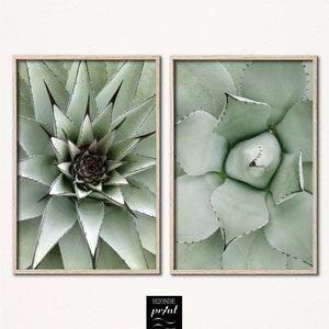 Agave leaf succulent print leaves large cactus tropical set of two prints 2 piece plant wall art printable botanical foliage poster desert