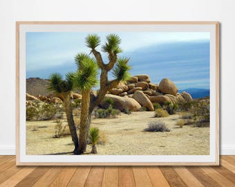 Joshua tree park print poster wall art desert california palm nature botanical printable living office wild land poster photo decor boho