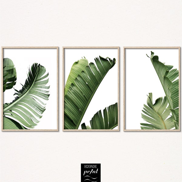 Banana leaf tree set of 3 tropical prints wall art leaves white and green digital printable three palm botanical home decor large beach a3