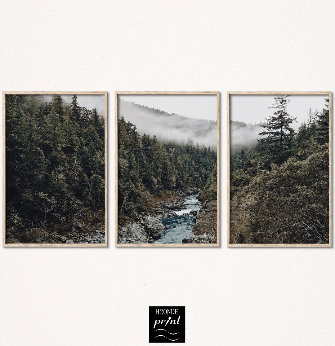 Foggy Forest Print Misty Poster Art Nature Set of 3 Wall Prints Three ...