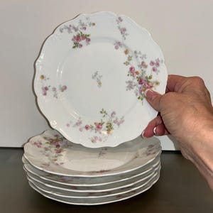 6 Antique Limoges Ahrenfeldt Salad Plates, Limoges Ahrenfeldt Floral 7 1/2&quot; Plates, Limoges Depose Salad Plates, Limoges Plate, Excellent