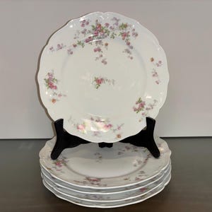 Limoges plates - Etsy 日本