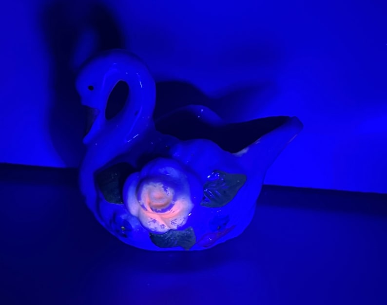 May include: A blue ceramic swan planter with a pink rose and green leaves. The planter is illuminated with a blue light.