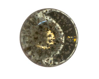 Pode incluir: Uma bolinha de gude de vidro transparente e redonda com numerosas bolhas pequenas suspensas no interior. A bolinha de gude tem uma ligeira tonalidade verde-oliva e reflete a luz, criando um efeito brilhante. A aparência geral é lisa e esférica.