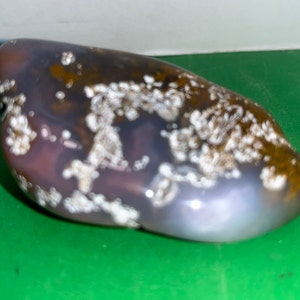 Vintage Fossil Stone, Natural Ammonite Fossil Stone, Specimen with Sea Fossils, Natural Stone Fossil Rock