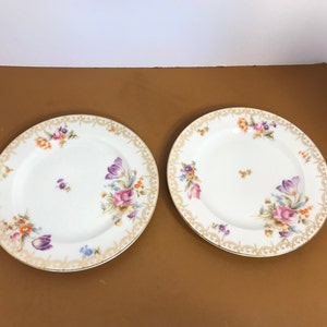 2 Royal Bavarian Butter Plates, Bavaria Butter Plates Hutschenreuther, Bavaria Floral Butter Plates with Gold Scroll Edge