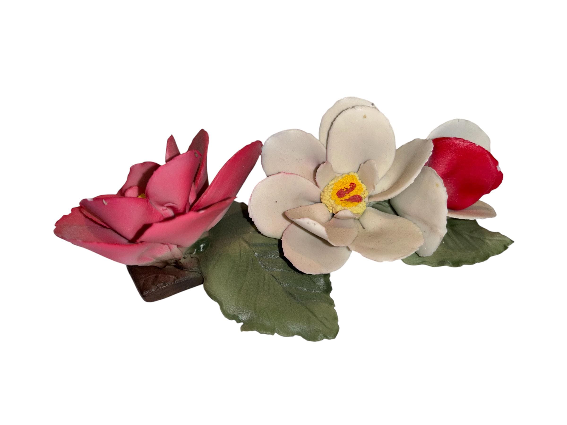 York Lancaster Rose - Etsy