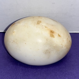 Marble Easter Egg, 2 1/4&quot; Marble Egg, White Yellow Stone Easter Egg, Alabaster Stone Egg, Beige Marble Egg, Flat l Side