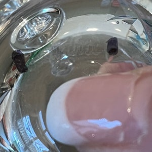 Peut inclure: Deux petits grains de poivre noir dans un bol en verre transparent rempli d'eau.