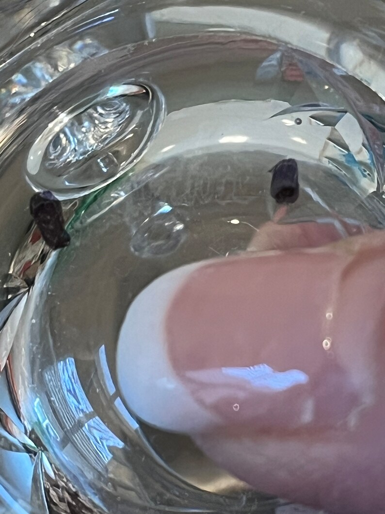Peut inclure: Deux petits grains de poivre noir dans un bol en verre transparent rempli d'eau.