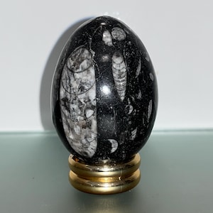 Vintage Fossil Egg, 2 1/2&quot; Hand Cut and Polished Black Gray Fossil Egg, Beautiful Specimen with Fossils, Natural Stone Fossil Egg