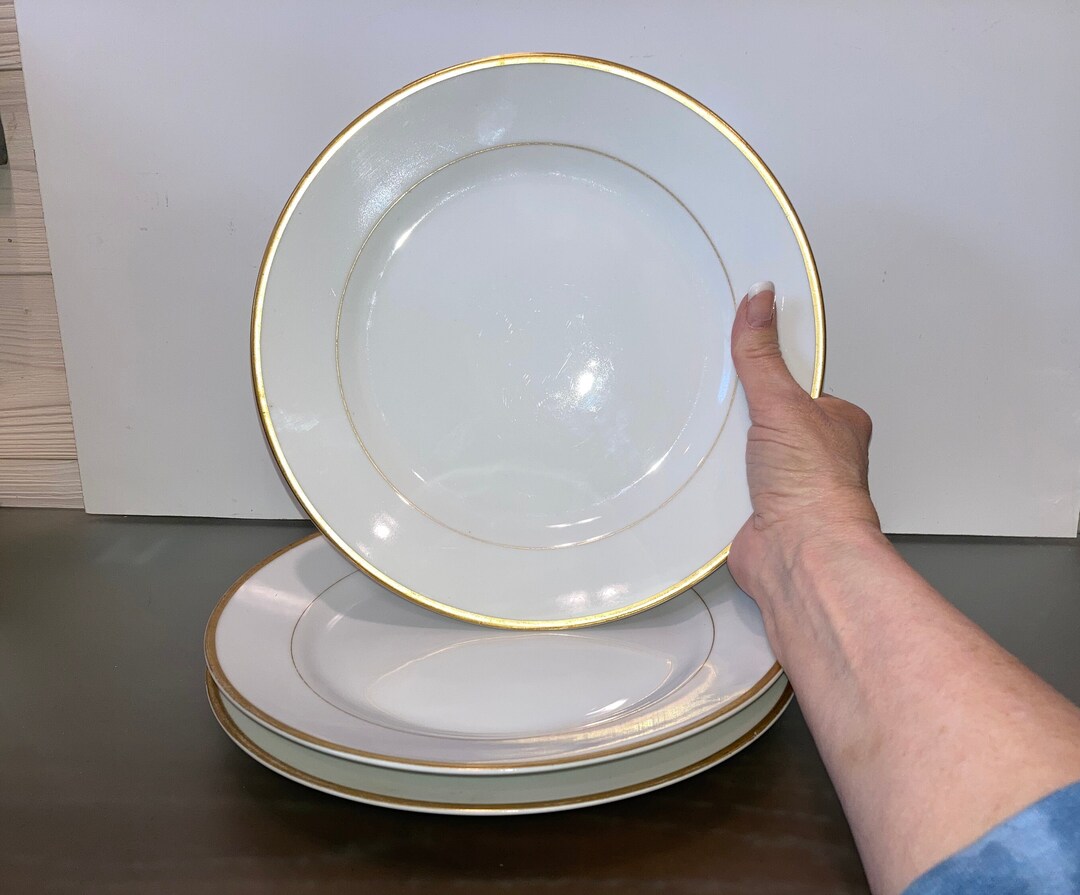 3 Noritake Japan Dinner Plates, Vintage Noritake the Micado Plates