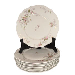 6 Antique Limoges Ahrenfeldt Luncheon Plates, Limoges Ahrenfeldt Floral 8 3/4&quot; Plates, Limoges Depose Salad Plates, Limoges Plate, Excellent