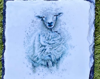 Hand drawn sheep  coaster.  Cork backed or slate available