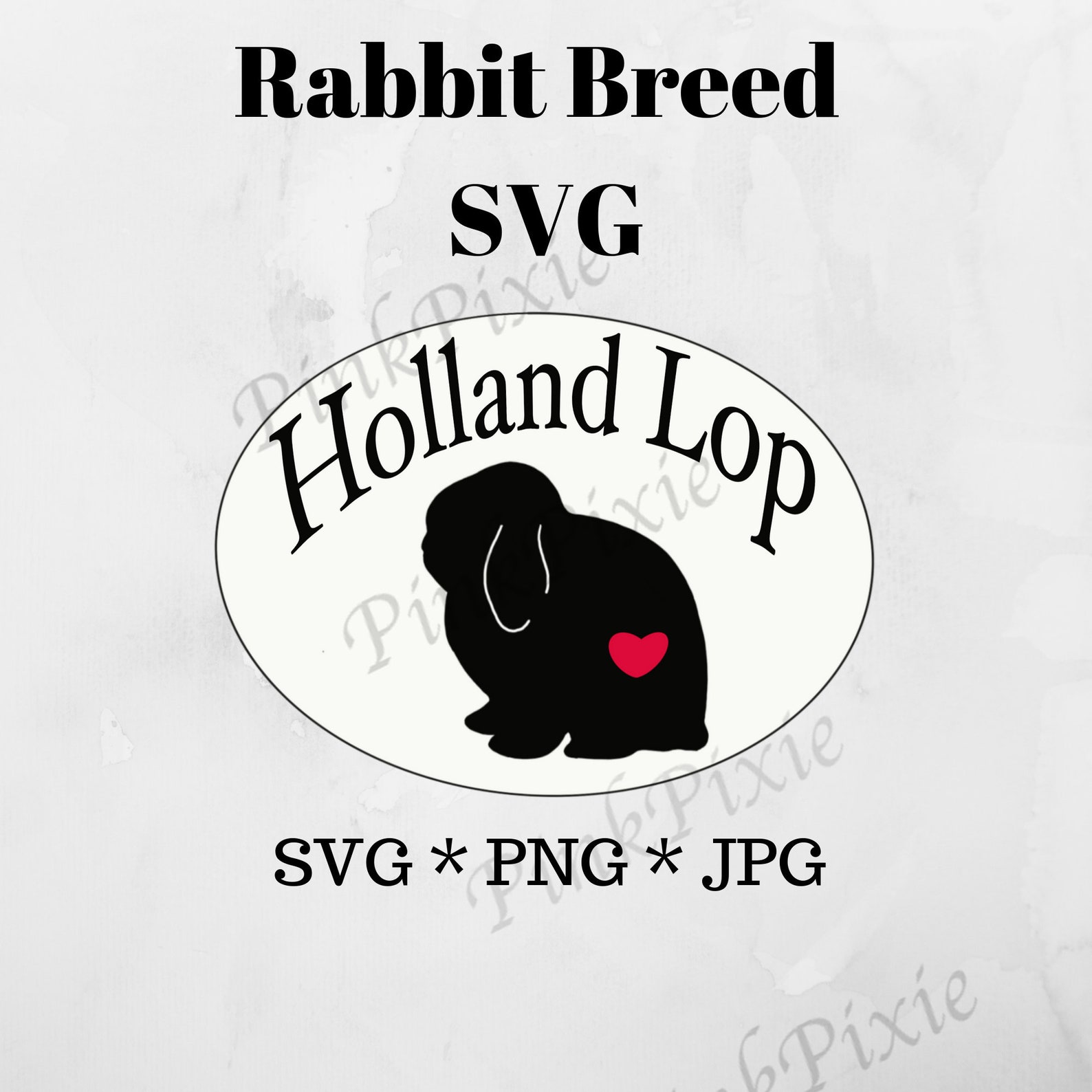 Holland Lop Rabbit Breed Graphic in SVG PNG and JPG for | Etsy