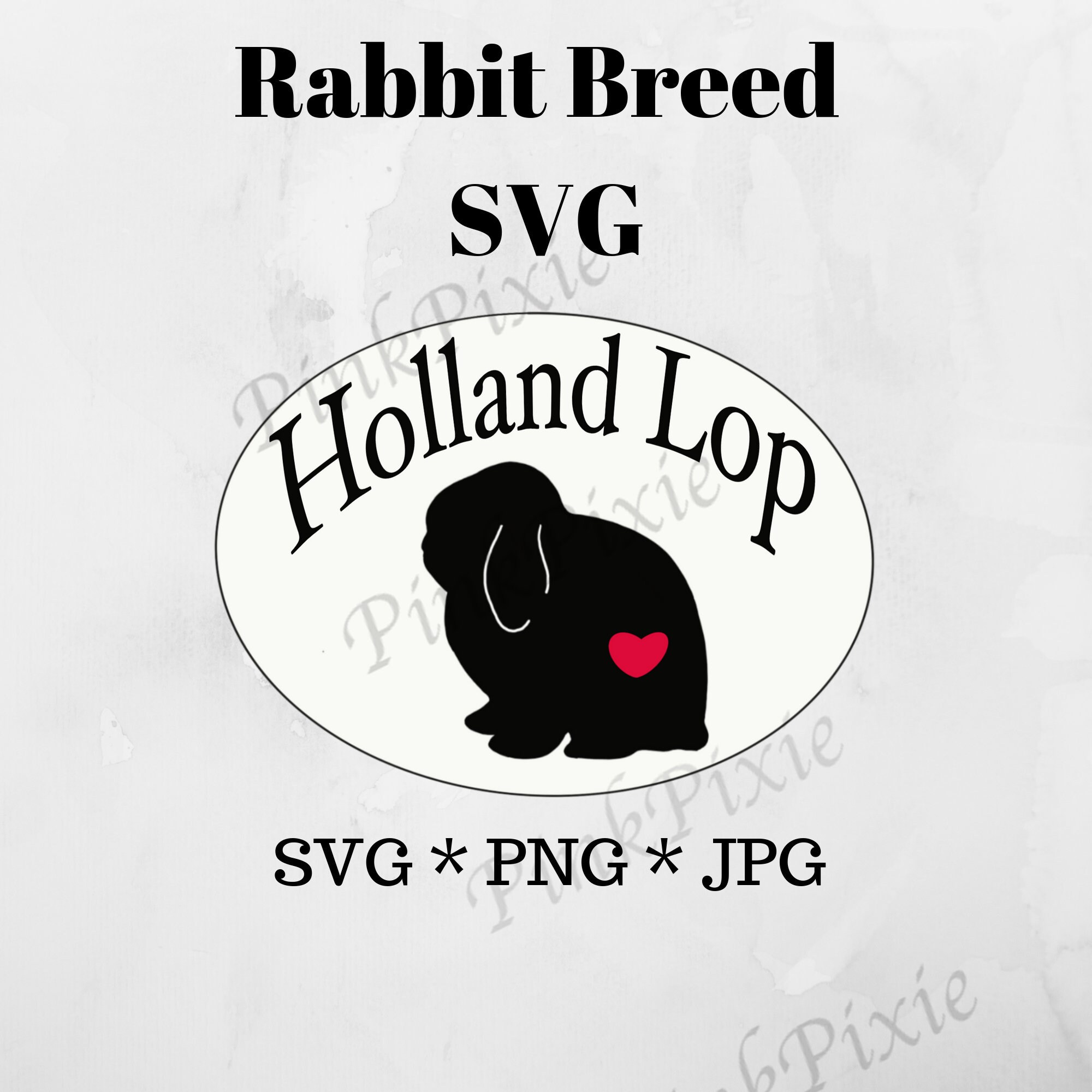 Holland Lop Rabbit Breed Graphic in SVG PNG and JPG for | Etsy