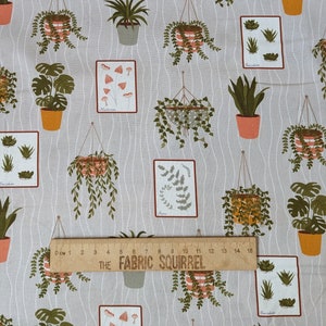 Peut inclure: Un tissu gris et blanc avec un motif répétitif de plantes en pot et d'illustrations botaniques. Le tissu présente une variété de plantes, notamment des fougères, des succulentes et des champignons. Les illustrations sont encadrées en noir et blanc.