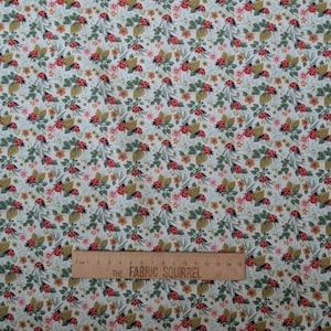 May include: Fabric with a repeating pattern of red ladybugs, green leaves, and small orange and pink flowers on a light blue background. A wooden ruler with the text "THE FABRIC SQUIRREL" is at the bottom.