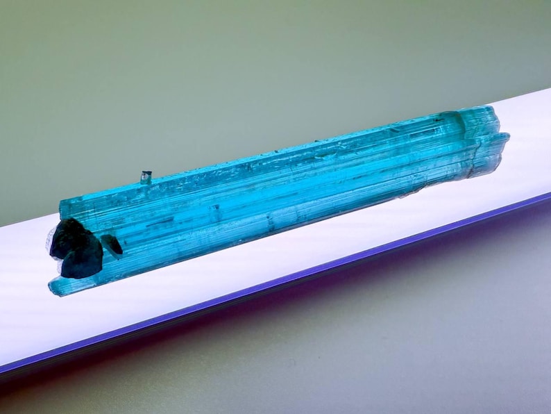 May include: A vibrant, elongated blue-green tourmaline crystal. The gemstone has a rough, textured surface and a dark, irregular formation at one end. The crystal is displayed on a white surface with a purple border.